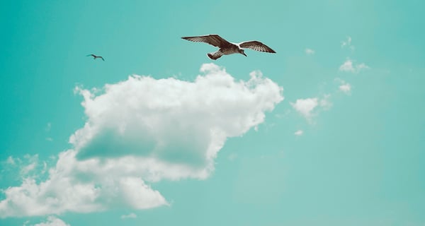 On-demand Webinar: Continuous Account Reconciliation & Financial Close Process